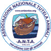 anta_icon