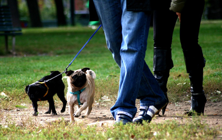 a-spasso-con-il-cane