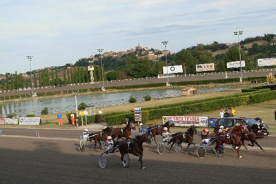 Ippodromo_S.Paolo-Piane_di_Montegiorgio-