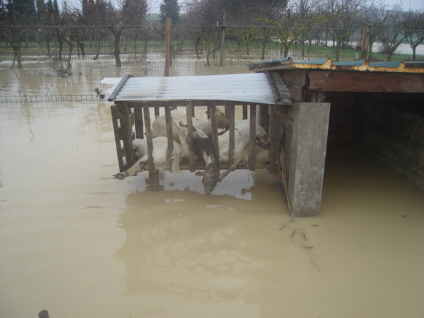 alluvione-2-marzo-2011-137