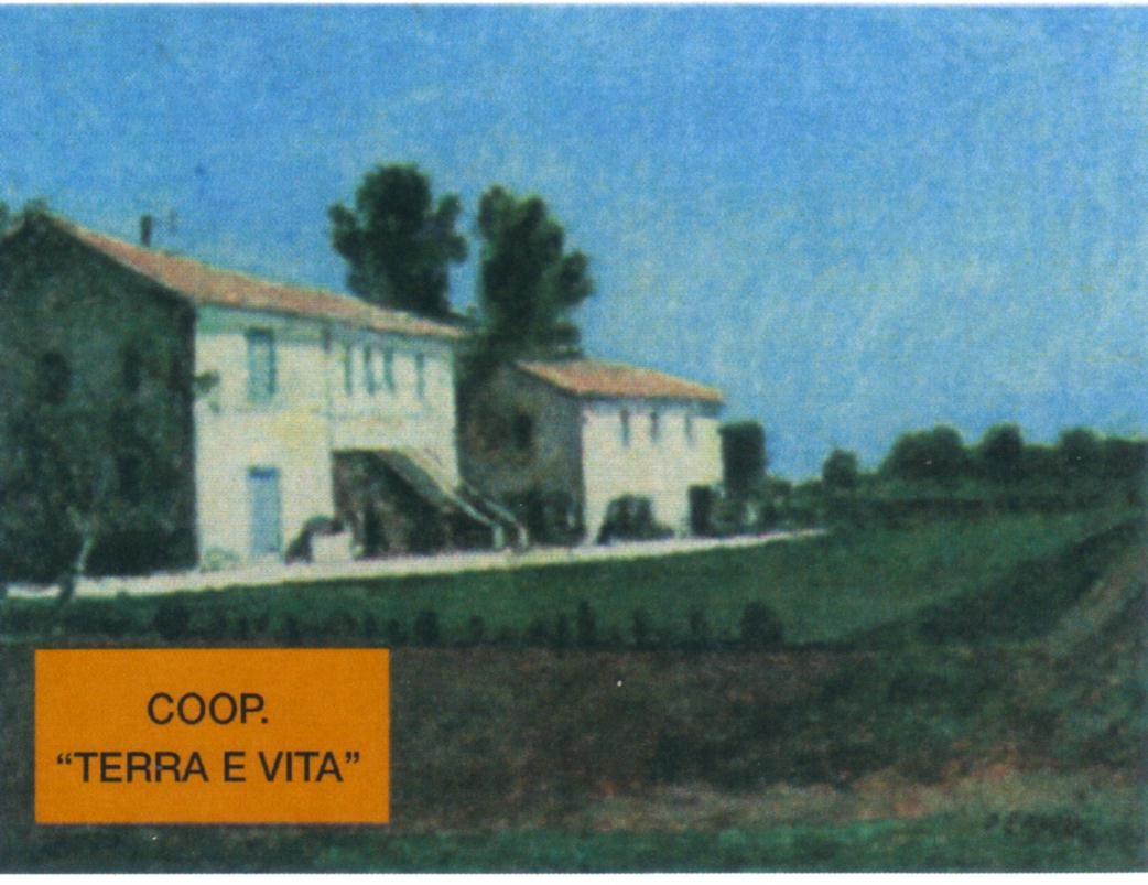 coop_terra_vita