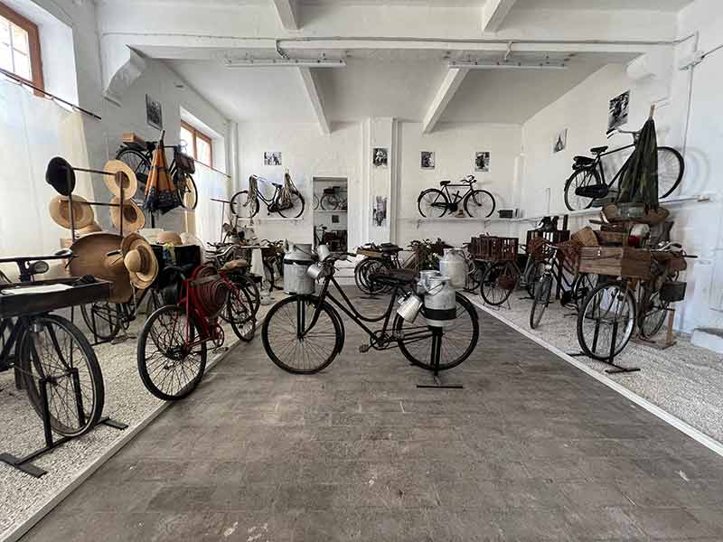 Ciclo Museo