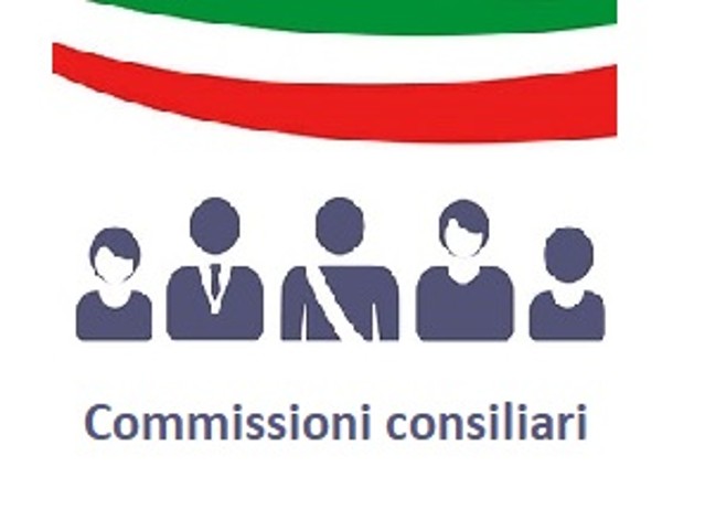 commissioni consiglio comunale 767