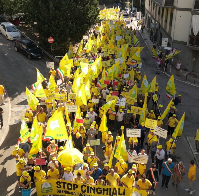 foto drone corteo