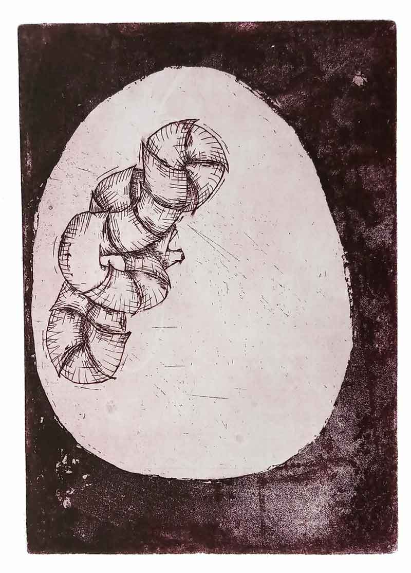 Margherita Braccialarghe.Armadillidium Vulgare. acquaforte su zinco. 15x20cm