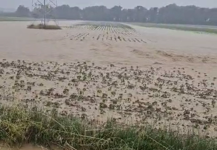 campi allagati a porto potenza