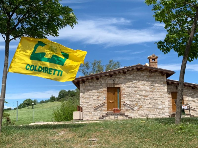 Marche agriturismi 4 e1620142447699