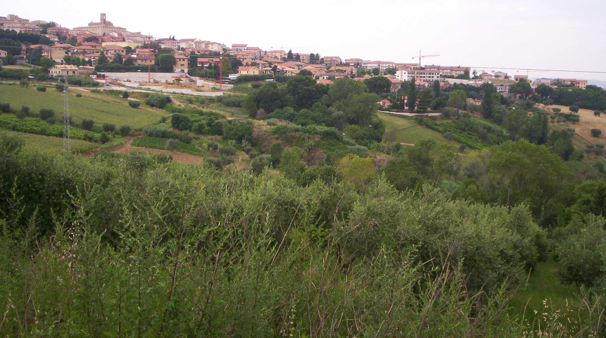 fossovalle.jpg